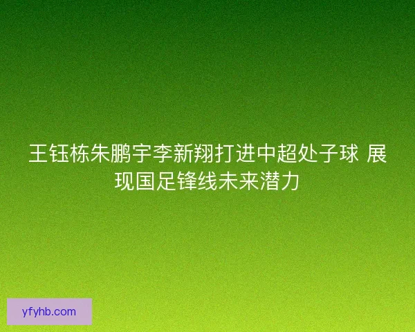 王钰栋朱鹏宇李新翔打进中超处子球 展现国足锋线未来潜力