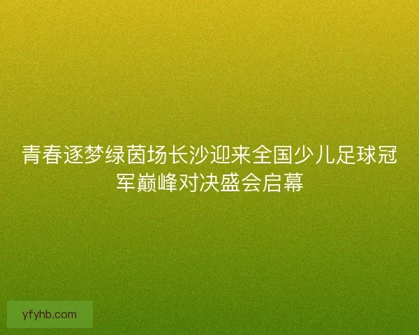 青春逐梦绿茵场长沙迎来全国少儿足球冠军巅峰对决盛会启幕